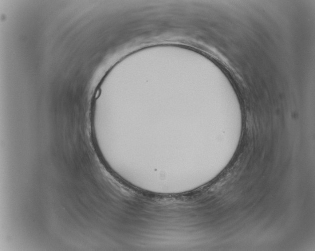 X0000071831512200607290029