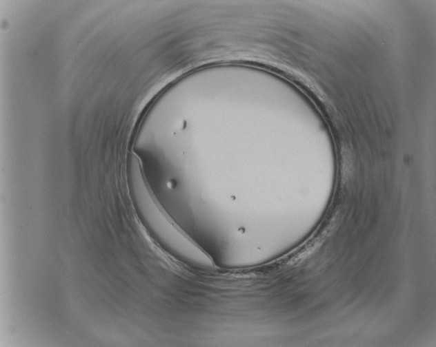 X0000071831513200607290029