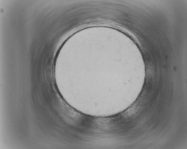 X0000071831514200607290029