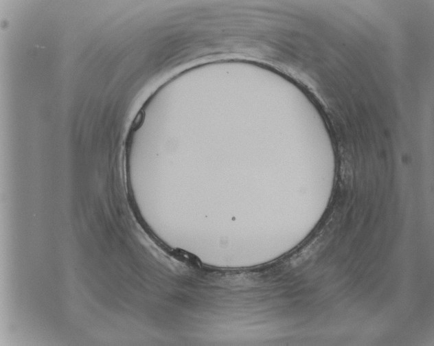 X0000071831516200607290029