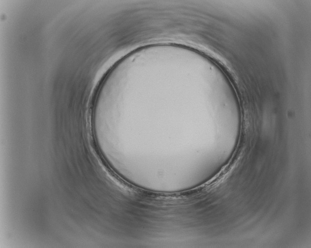 X0000071831517200607290029