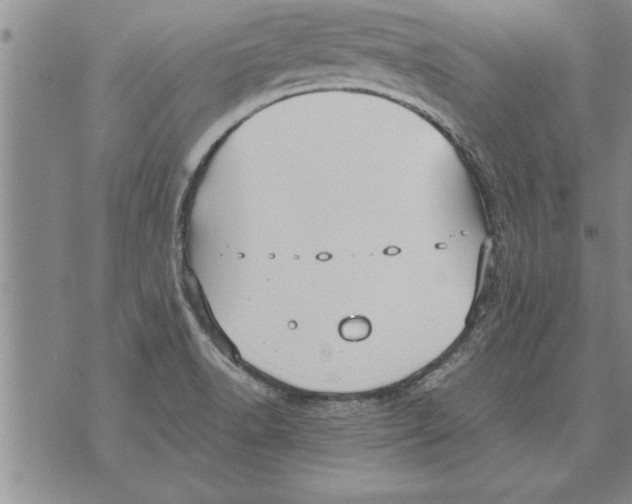 X0000071831518200607290029