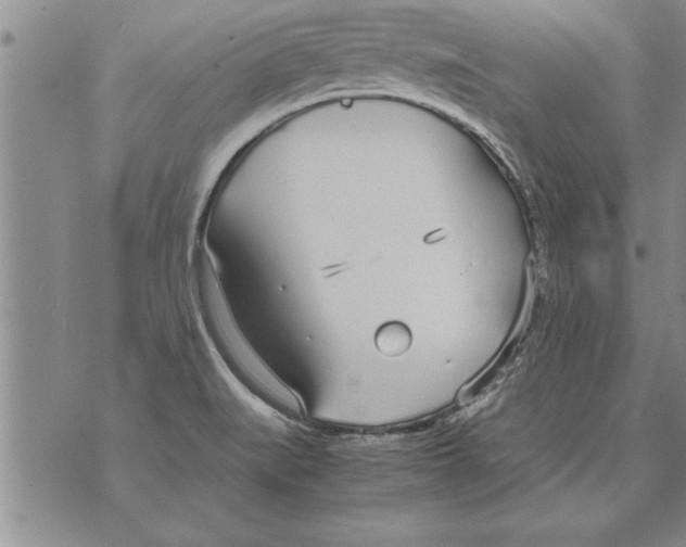 X0000071831519200607290029