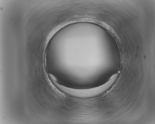 X0000071831520200607290029