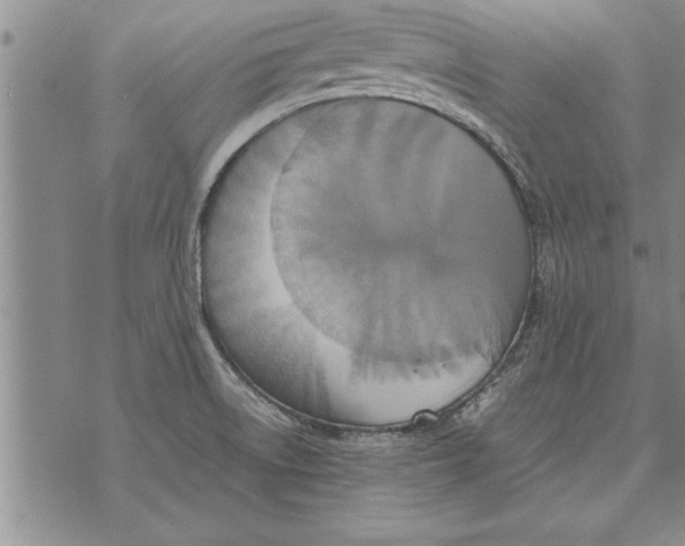 X0000071831522200607290029