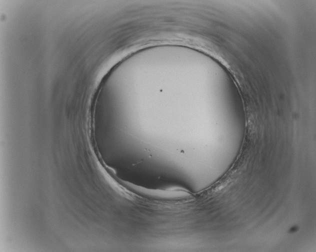 X0000071831523200607290029