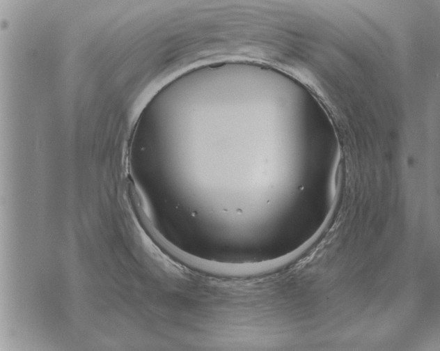 X0000071831524200607290029