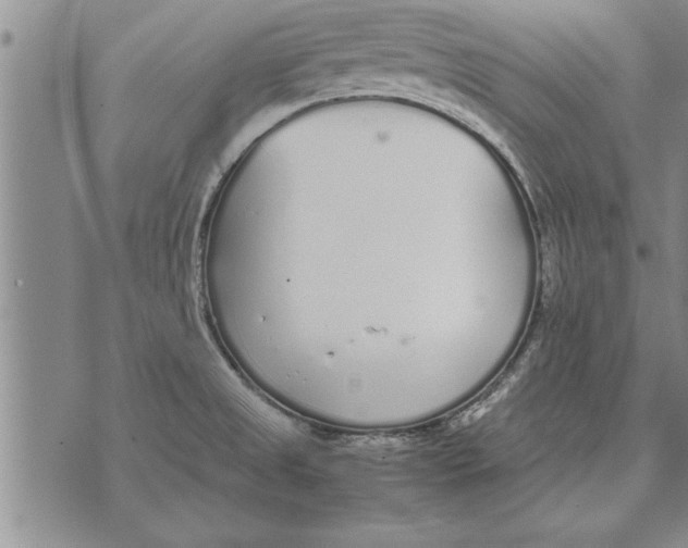 X0000071831525200607290029