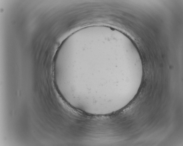 X0000071831526200607290029