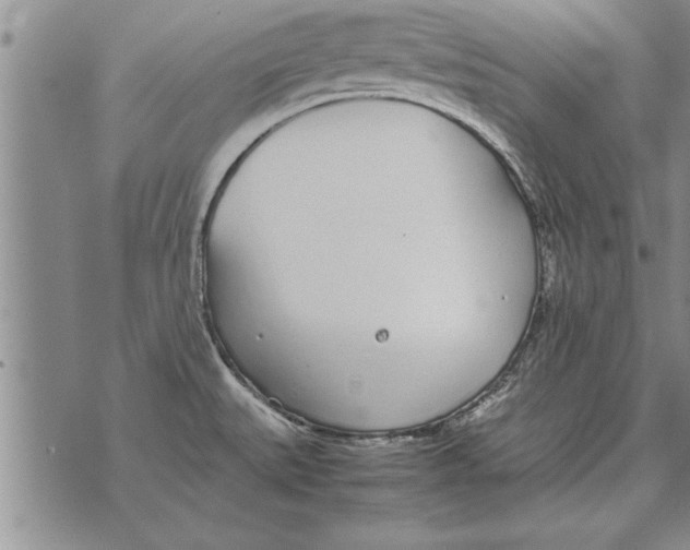 X0000071831527200607290029