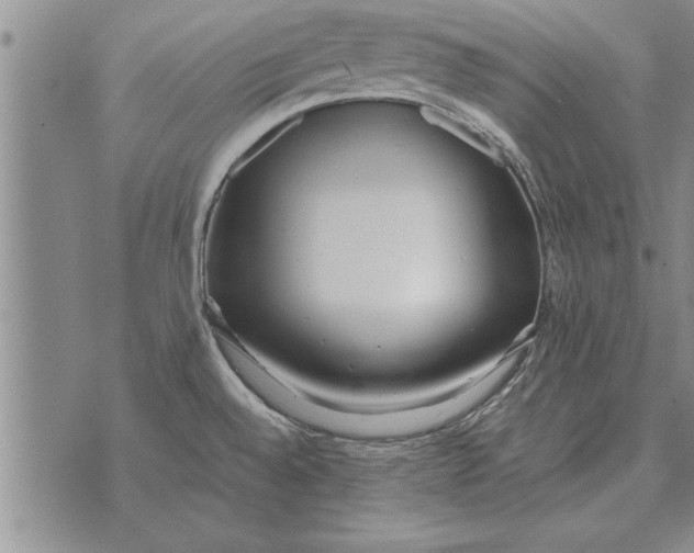 X0000071831528200607290029