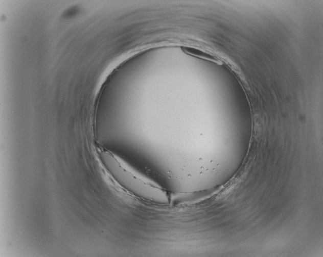 X0000071831530200607290029