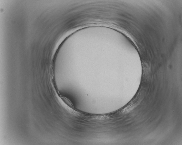 X0000071831531200607290030