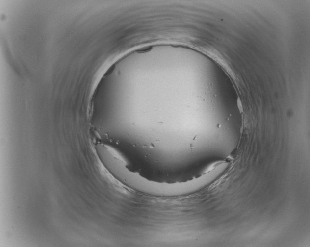 X0000071831532200607290030