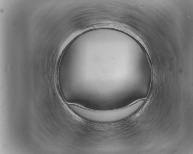 X0000071831533200607290030