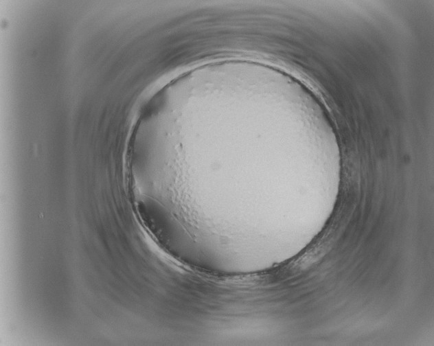 X0000071831535200607290030