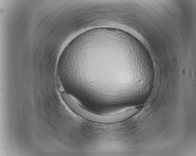 X0000071831536200607290030