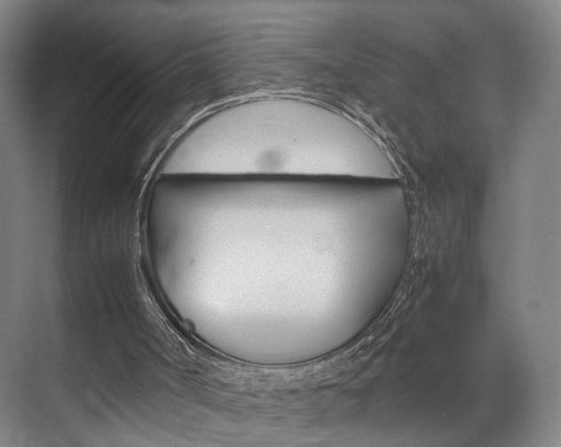 X0000071840002200606301116