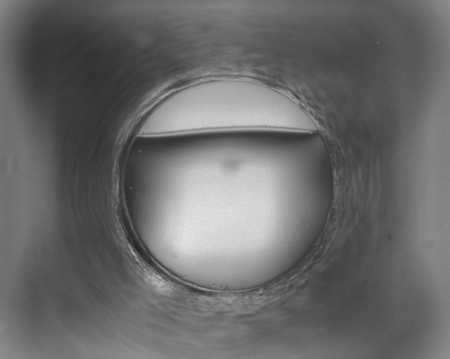 X0000071840005200606301116