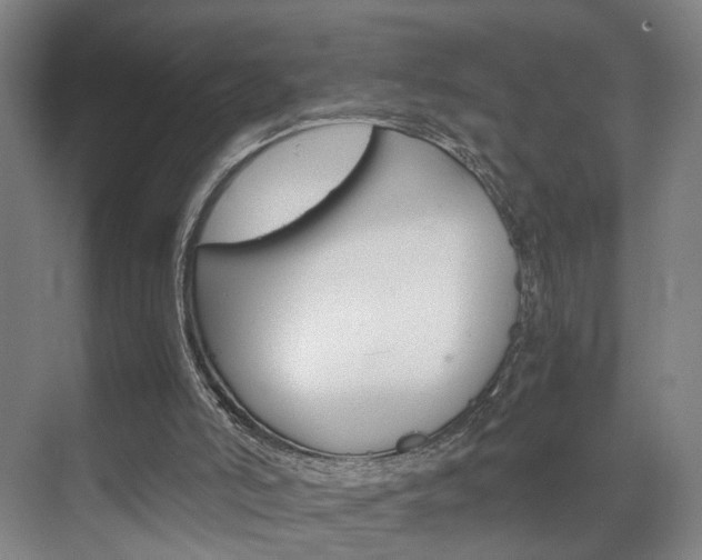 X0000071840006200606301116