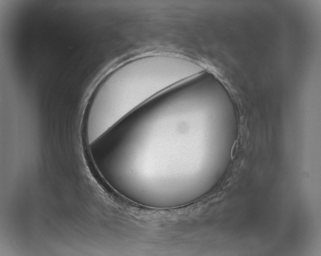 X0000071840007200606301116