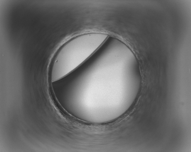 X0000071840008200606301116