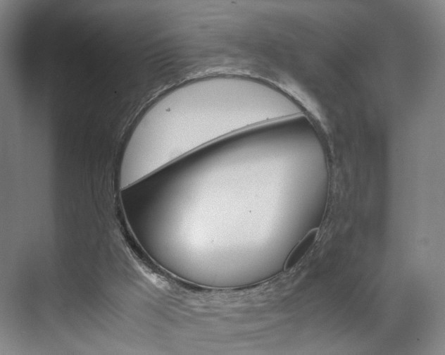 X0000071840009200606301116
