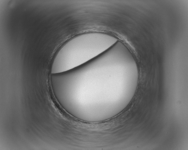 X0000071840010200606301116