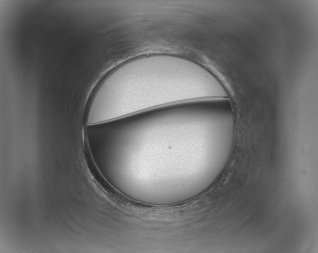 X0000071840011200606301116