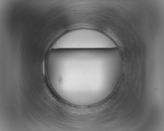 X0000071840014200606301115