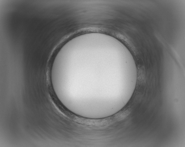 X0000071840016200606301115