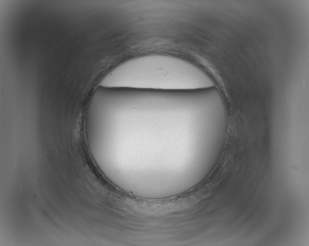 X0000071840018200606301115