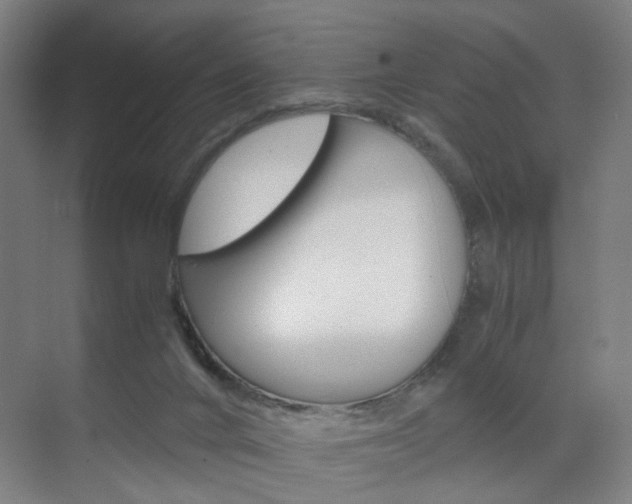X0000071840024200606301115
