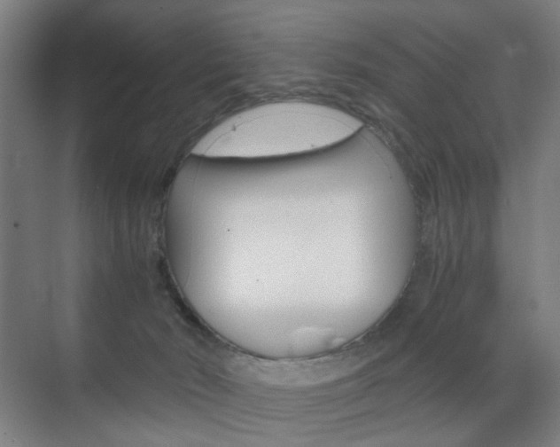 X0000071840030200606301115