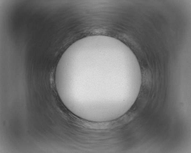 X0000071840032200606301115
