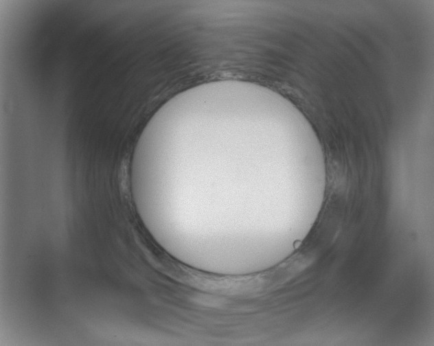 X0000071840036200606301115