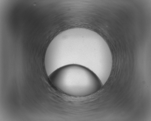 X0000071840039200606301115