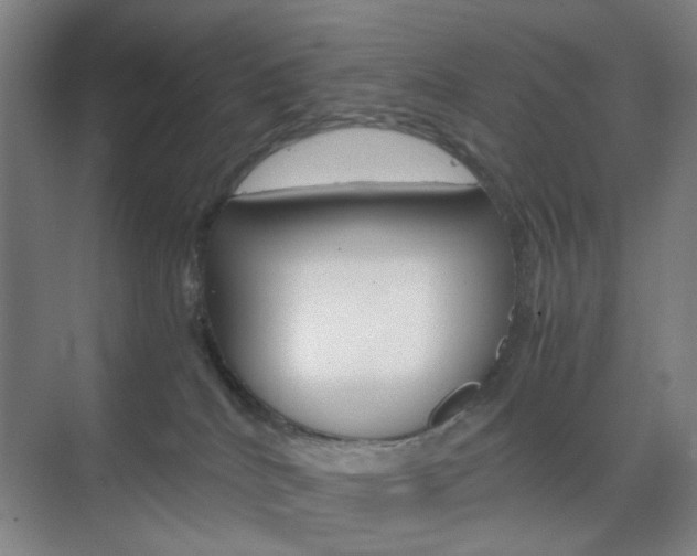 X0000071840040200606301115