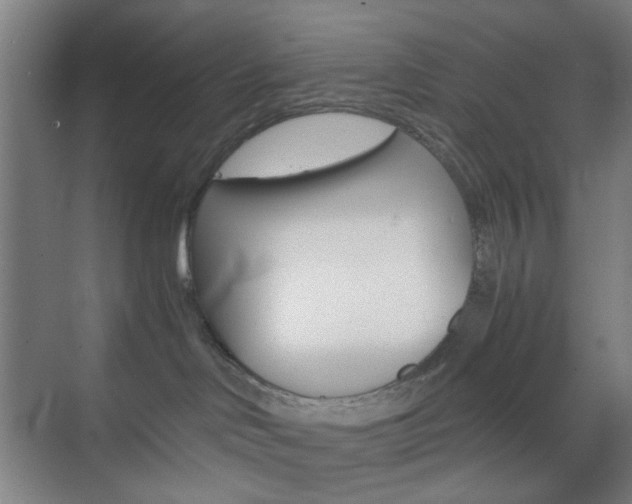 X0000071840046200606301115