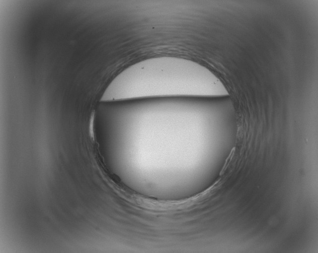 X0000071840047200606301115