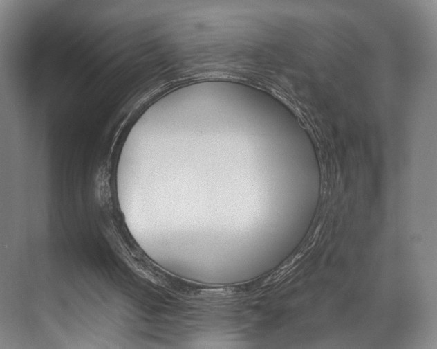 X0000071840050200606301114