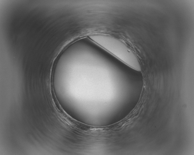 X0000071840052200606301114