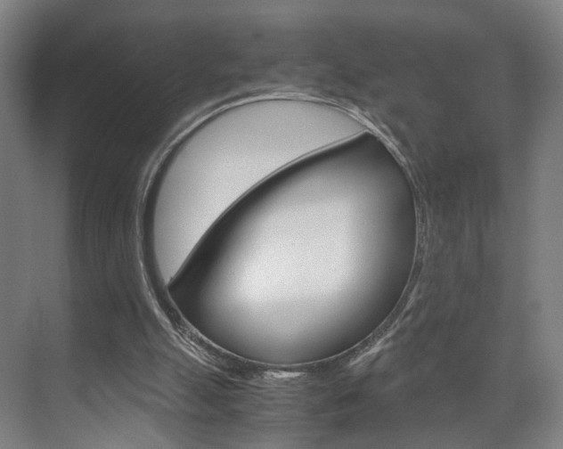 X0000071840055200606301114