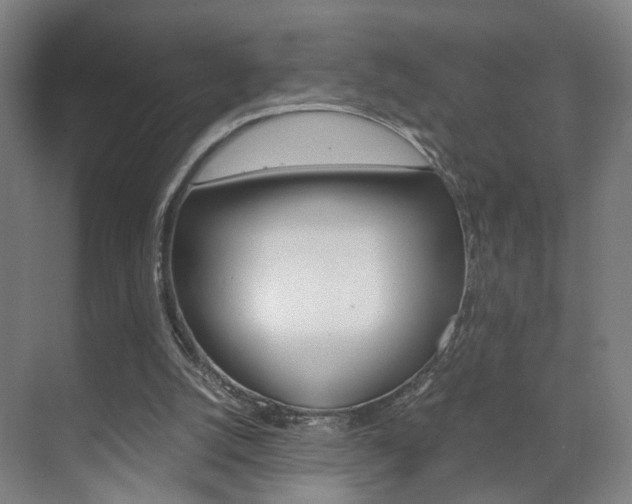 X0000071840056200606301114