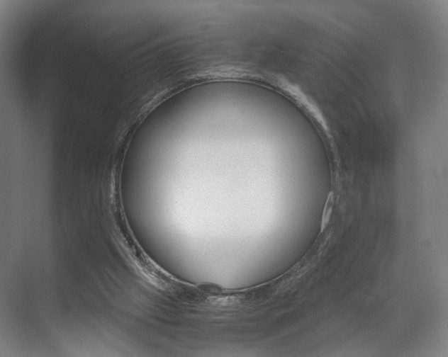 X0000071840057200606301114