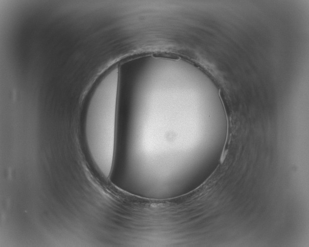 X0000071840060200606301114