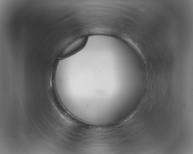 X0000071840062200606301114