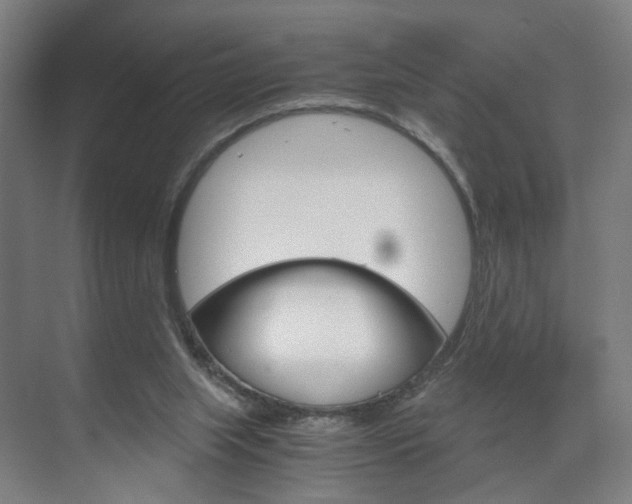 X0000071840063200606301114