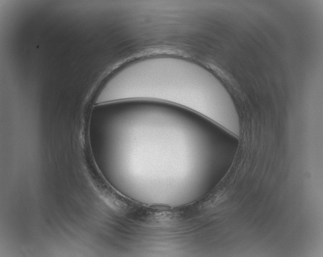 X0000071840064200606301114