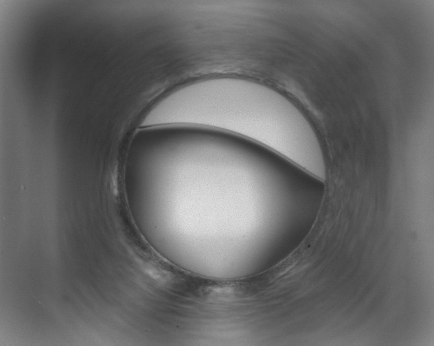 X0000071840068200606301114